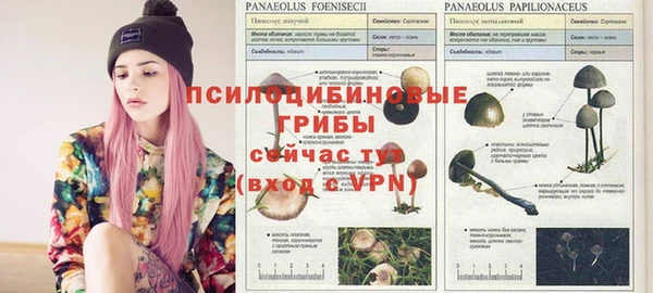 марихуана Баксан