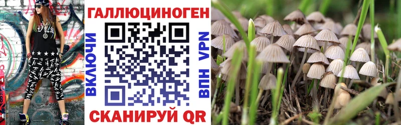 ОМГ ОМГ сайт Буинск Псилоцибиновые грибы Magic Shrooms хочу наркоту